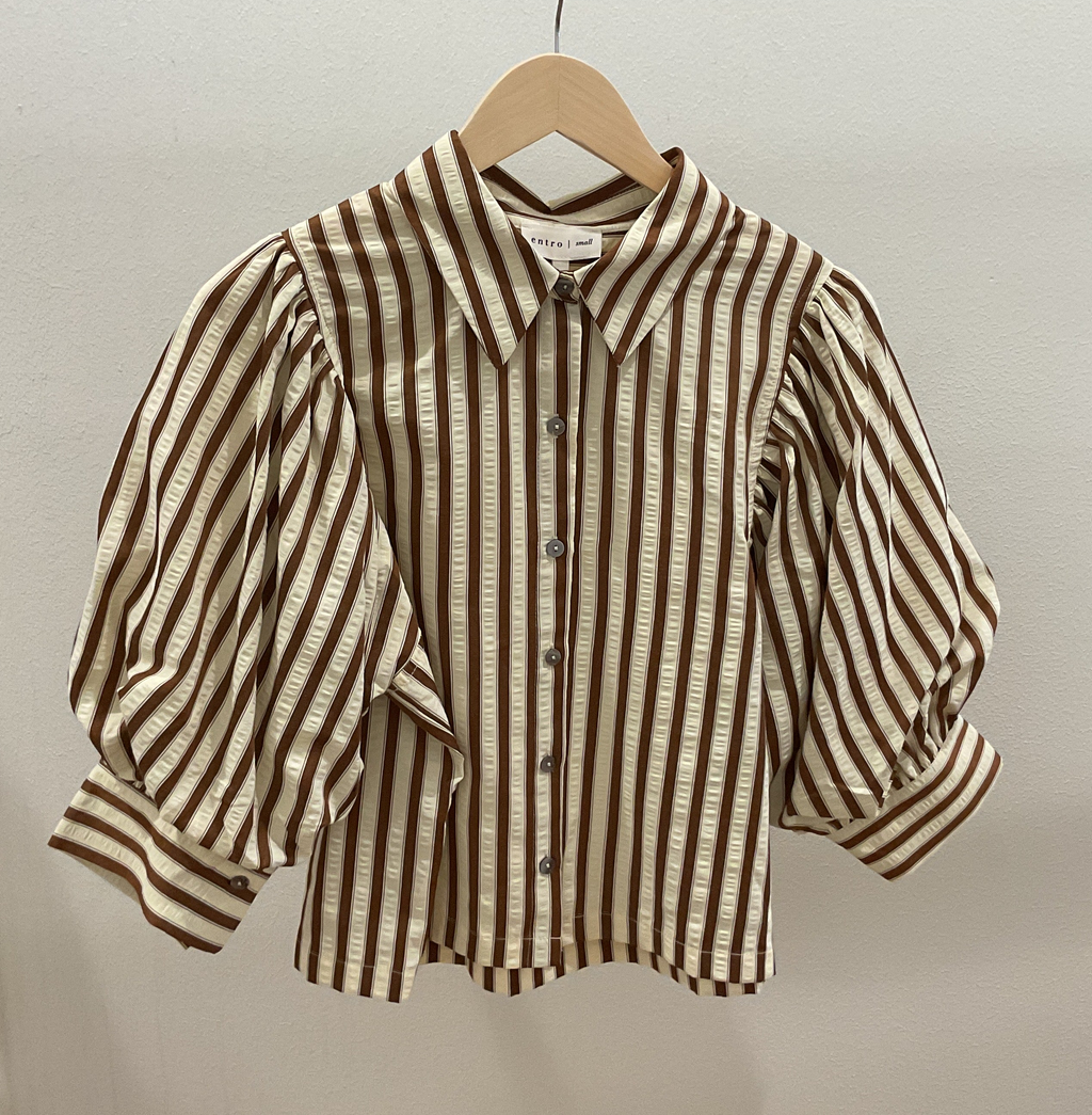 Brown/Cream Stripe Button Down Blouse