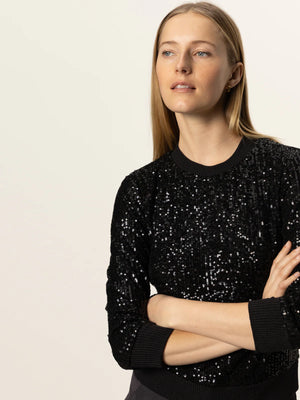 Sanctuary Sparkle Popover Top