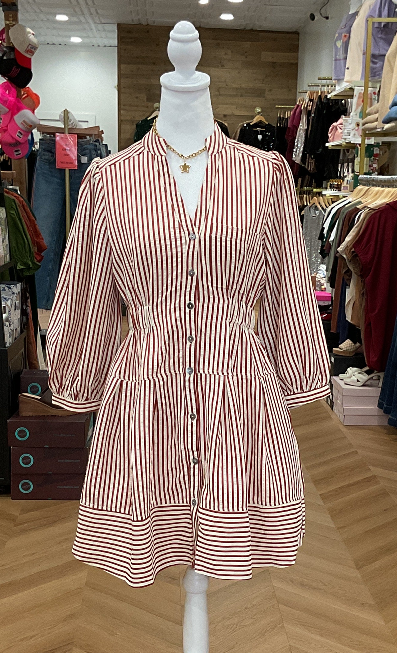 Rust Stripe Mini Dress