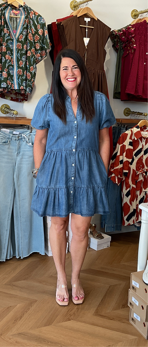 Elan Chambray Button Down