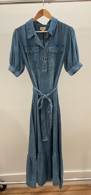 Elan button down Chambray Maxi