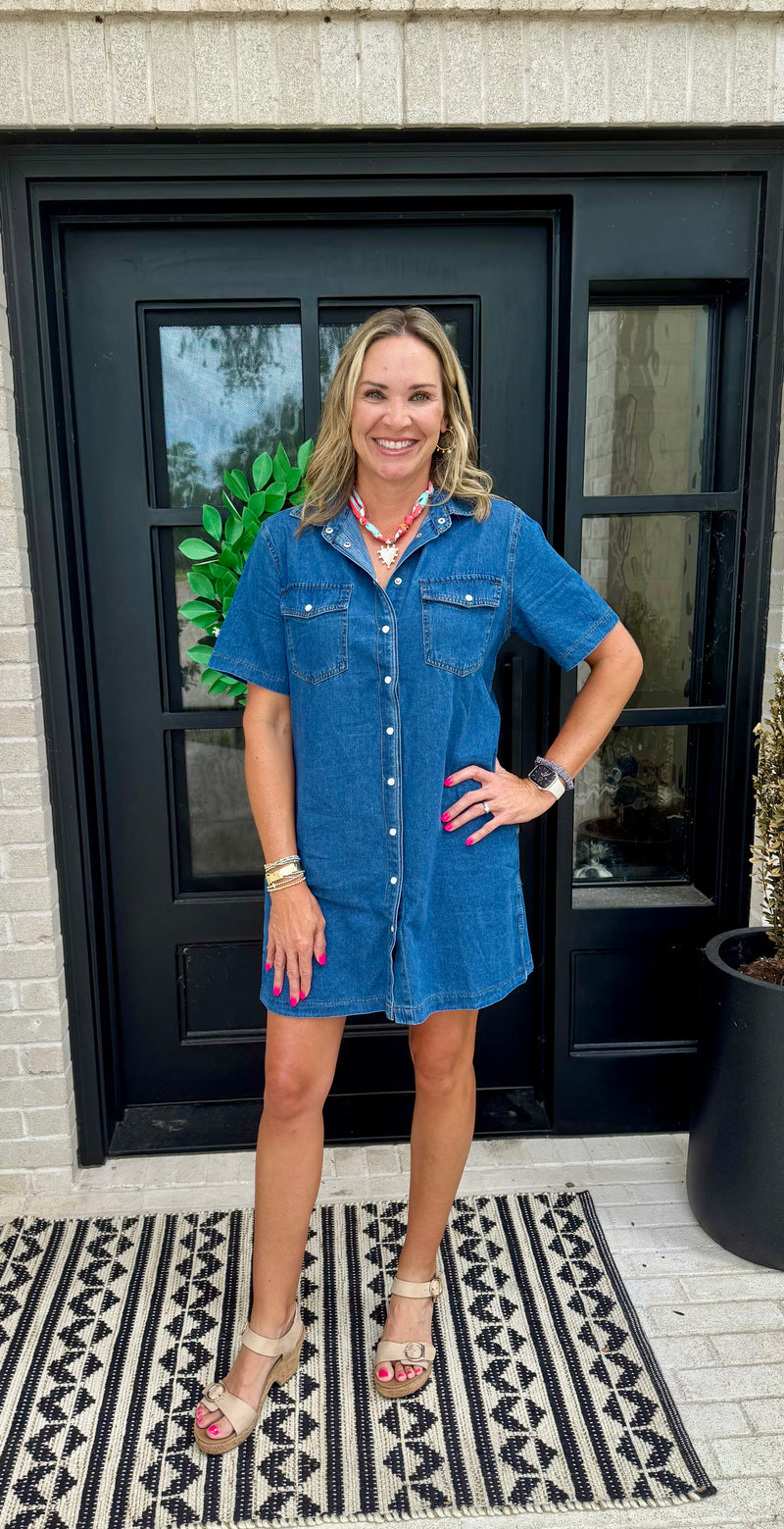 THML Pearl Snap Denim Dress