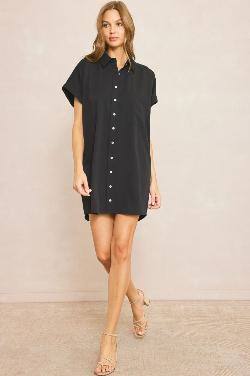 Collared button up everyday dress