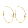 Delicate Knot Hoops