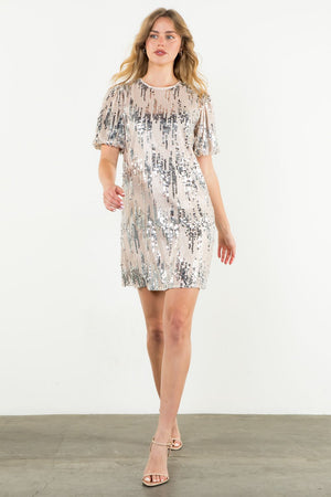 THML Sequin Puff Sleeve dress